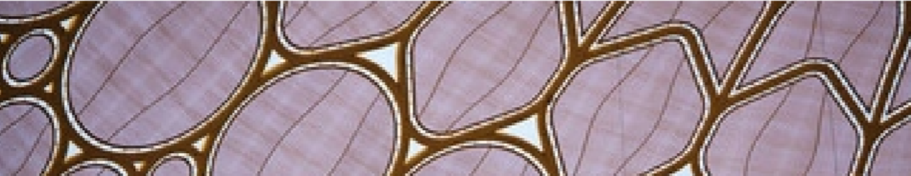 Featured Banner